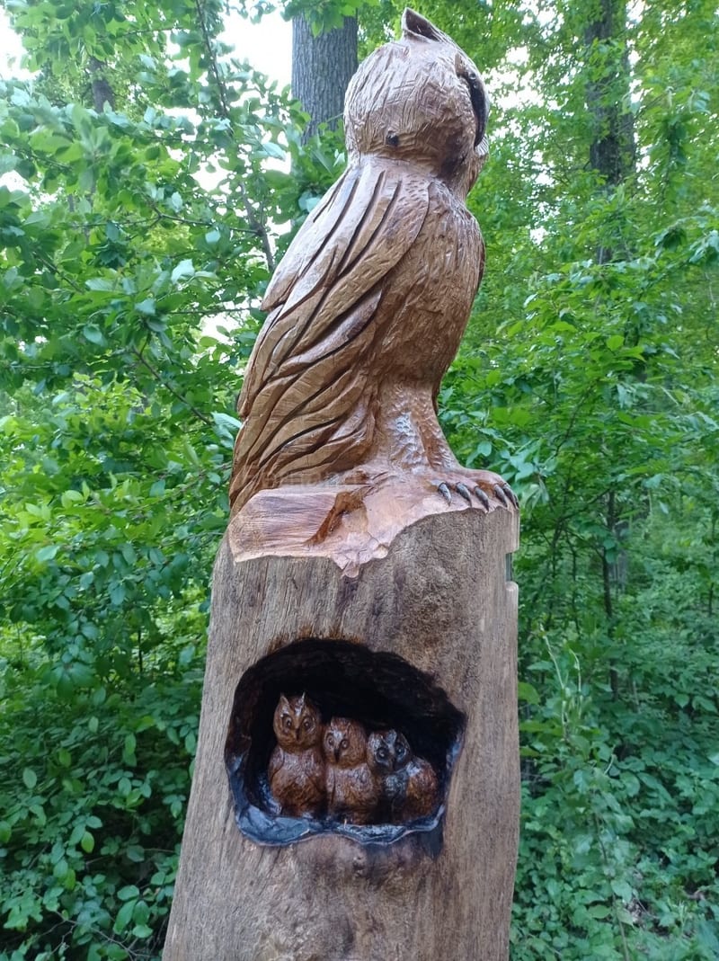 La forêt du Buchholz, vue 7