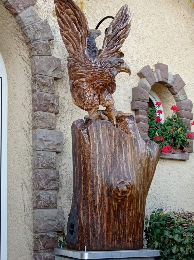 L'aigle royal, vue 3
