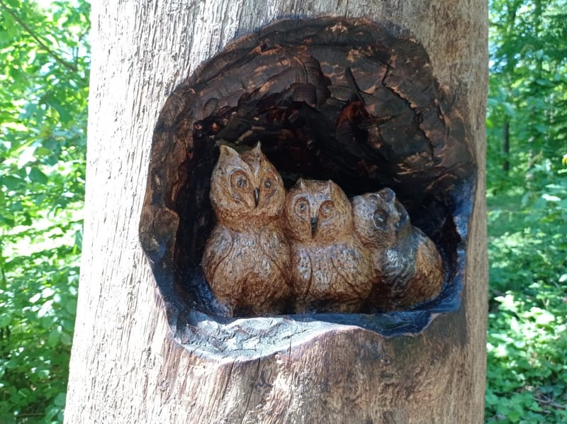 Sculpture sur bois de Fernand Olona