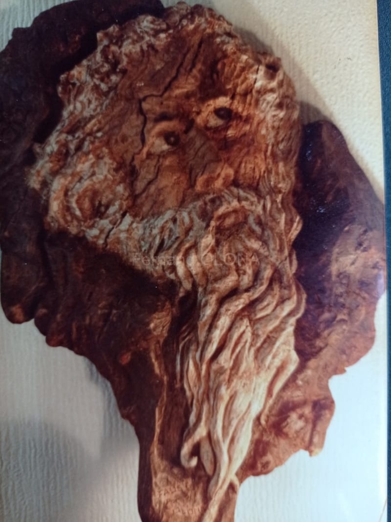 Sculpture sur bois de Fernand Olona