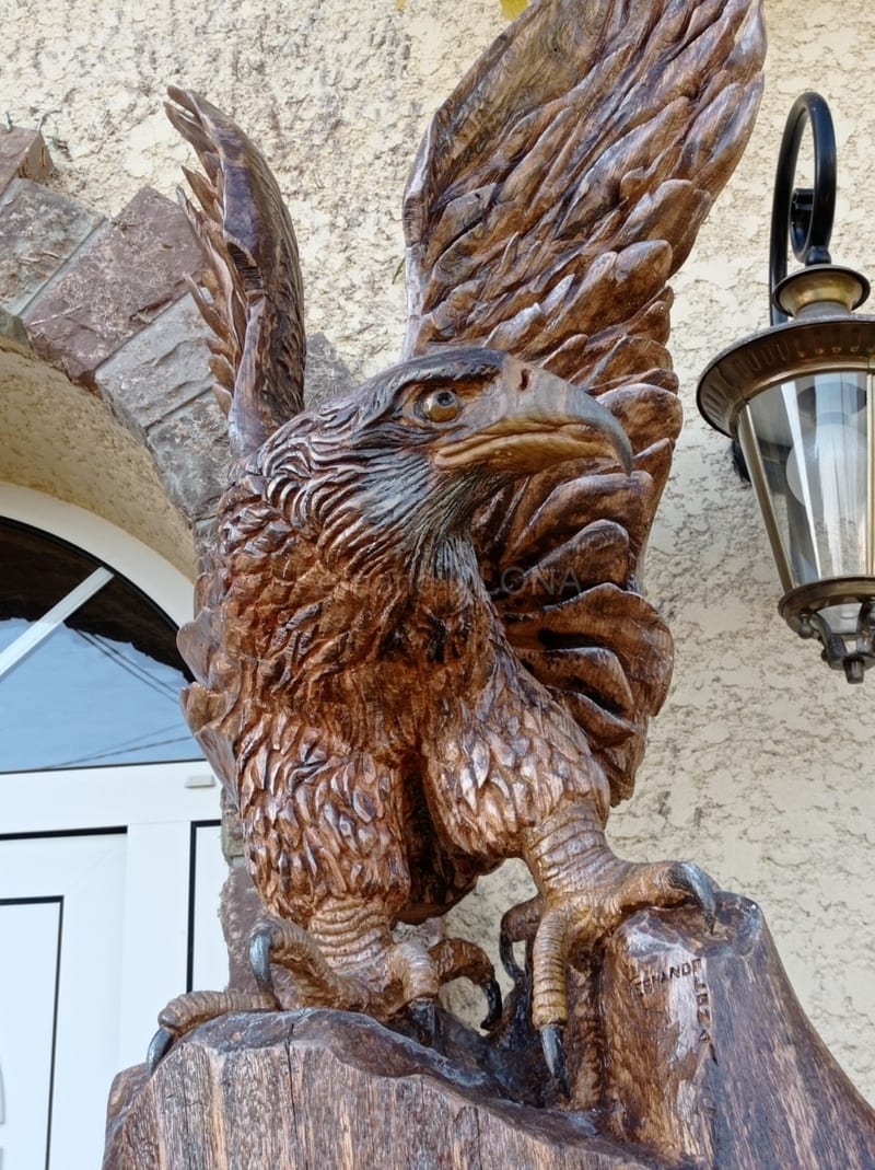 L'aigle royal, vue 2