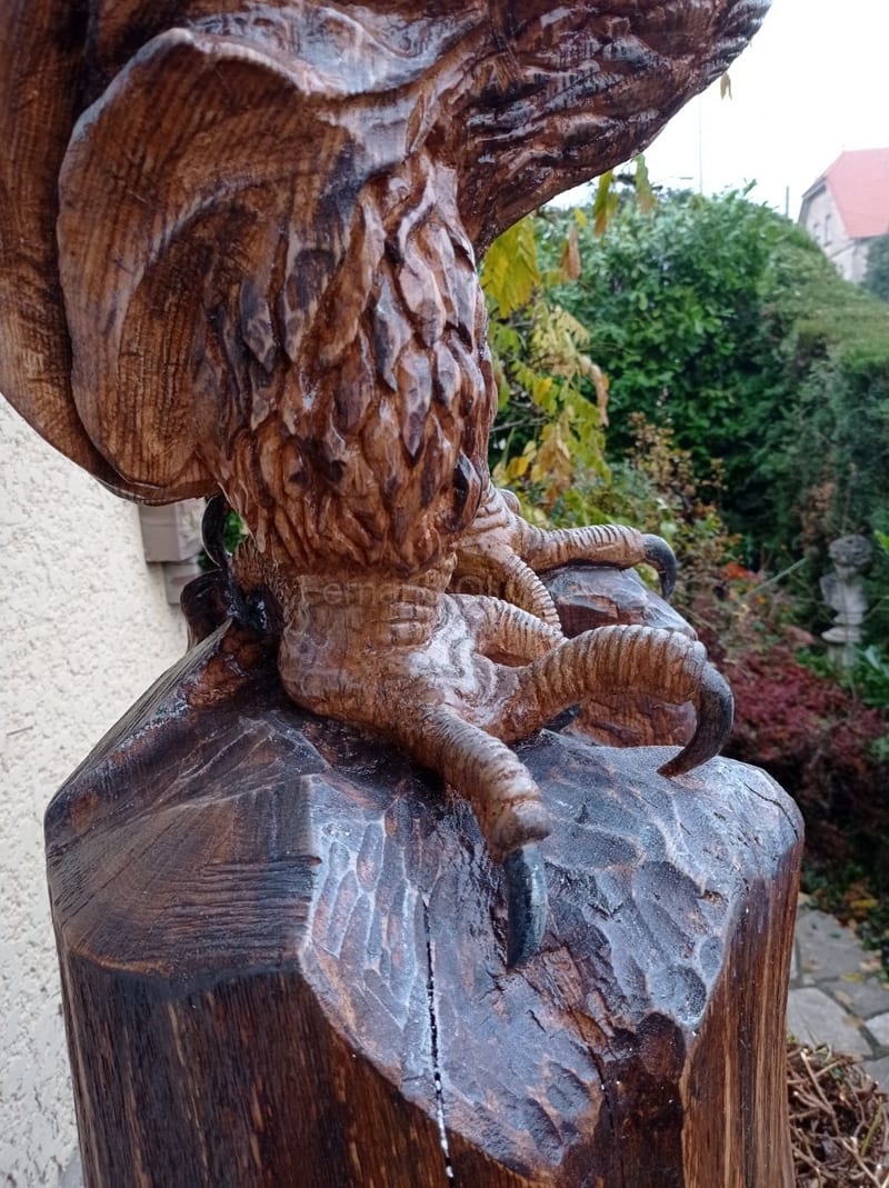 L'aigle royal, vue 5