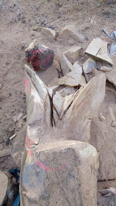 L'aigle a été imaginé dans une chute de bois de 700 kg provenant d'un chêne américain de la forêt du Buchholz. Le rond rouge indique la future tête.
