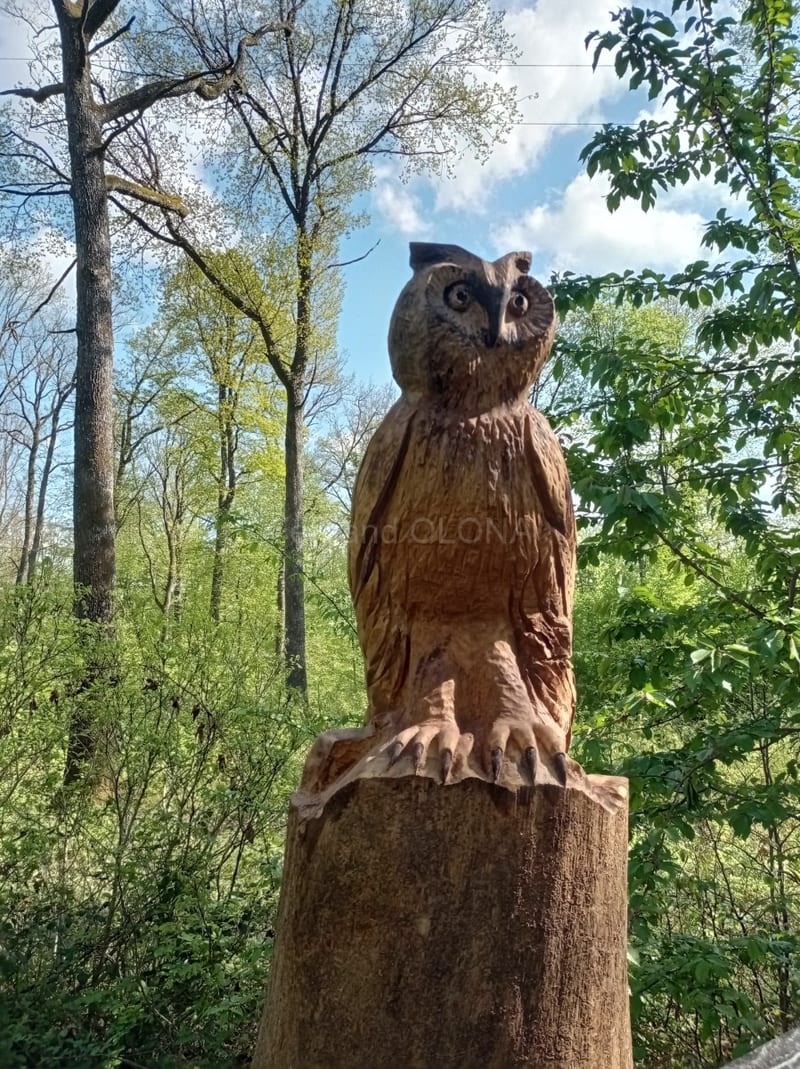 Sculpture sur bois de Fernand Olona