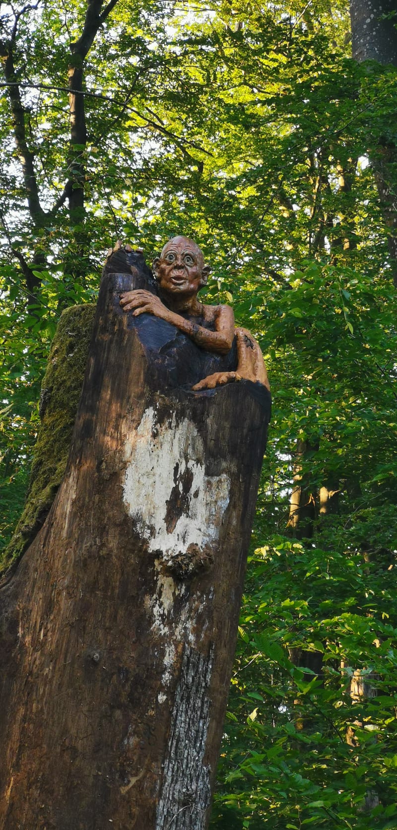 La forêt du Buchholz, vue 9