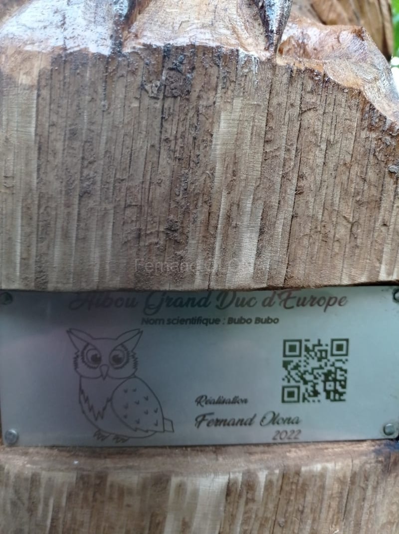 La forêt du Buchholz, vue 5