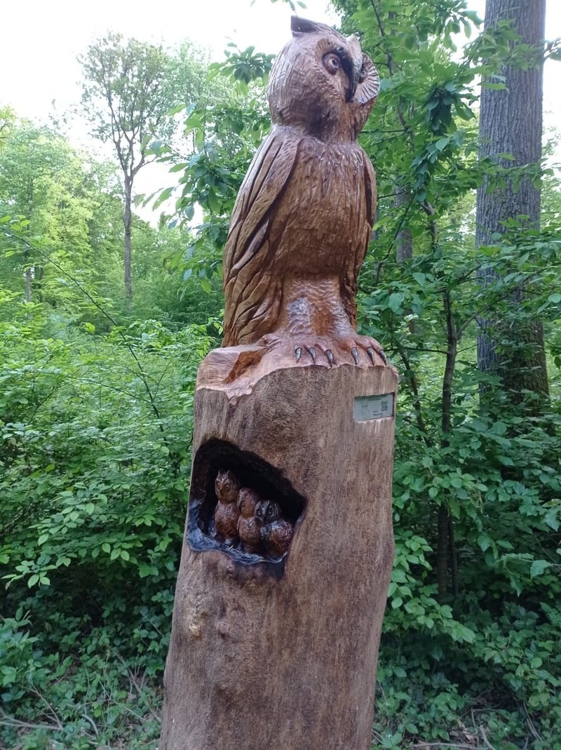 La forêt du Buchholz, vue 6