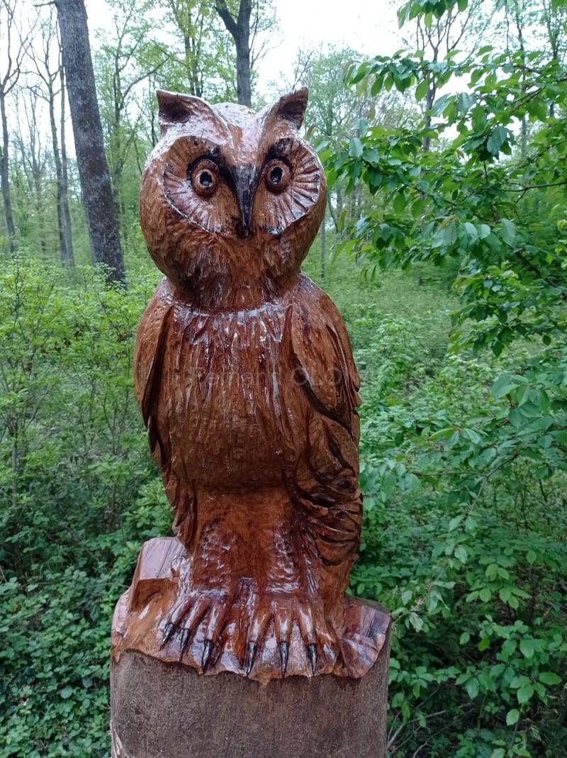 La forêt du Buchholz, vue 3