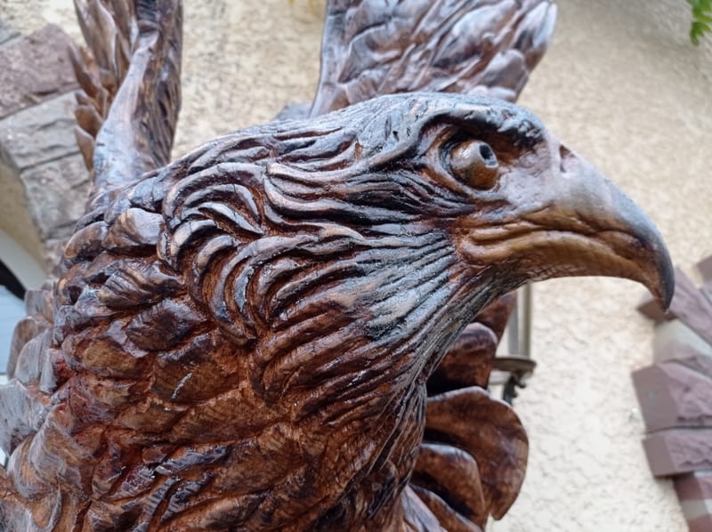 L'aigle royal, vue 4