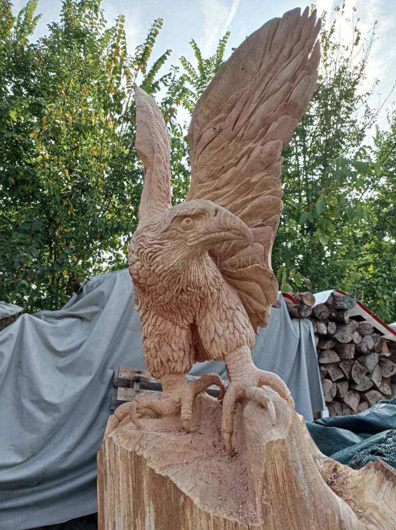 Le gros du travail est achevé, mais il reste encore des coups de ciseau à bois à donner pour mettre en relief certaines parties du plumage.
