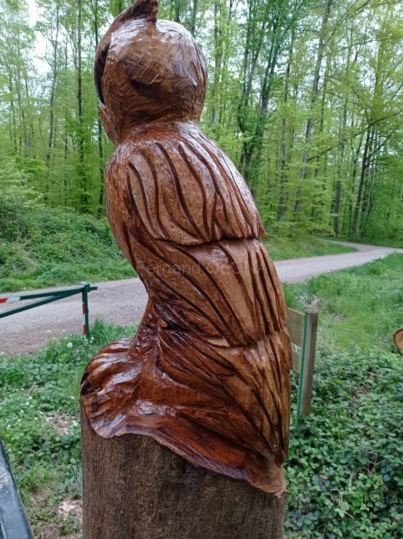 La forêt du Buchholz, vue 2