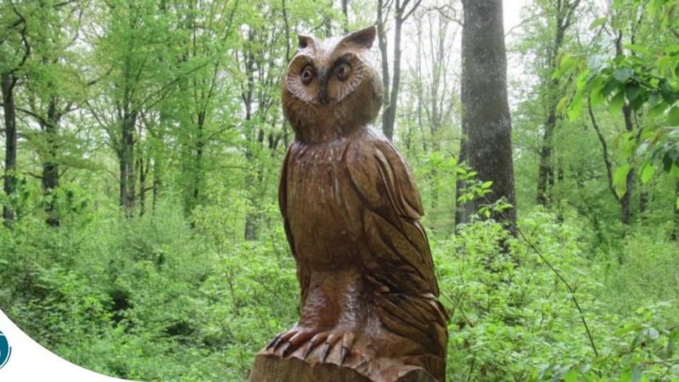 Illustration de « Sculpture de bois en forêt du Buchholz »