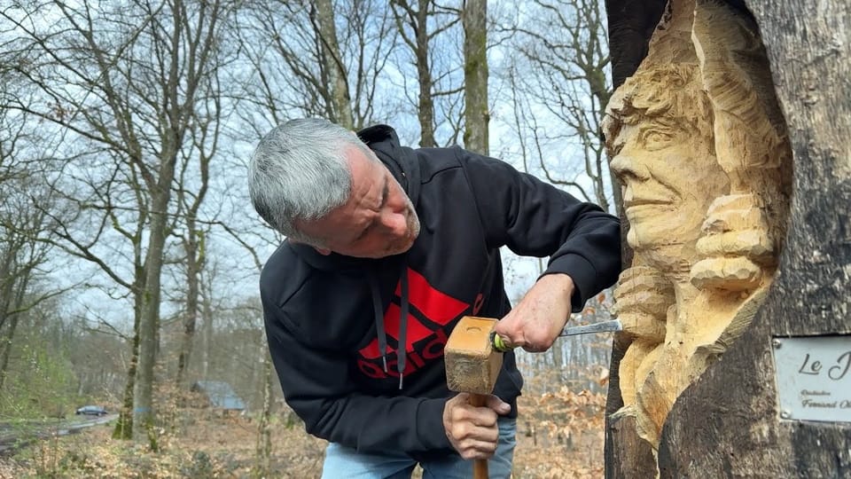 Image du reportage « Le sculpteur qui transforme les arbres en œuvres d'art »