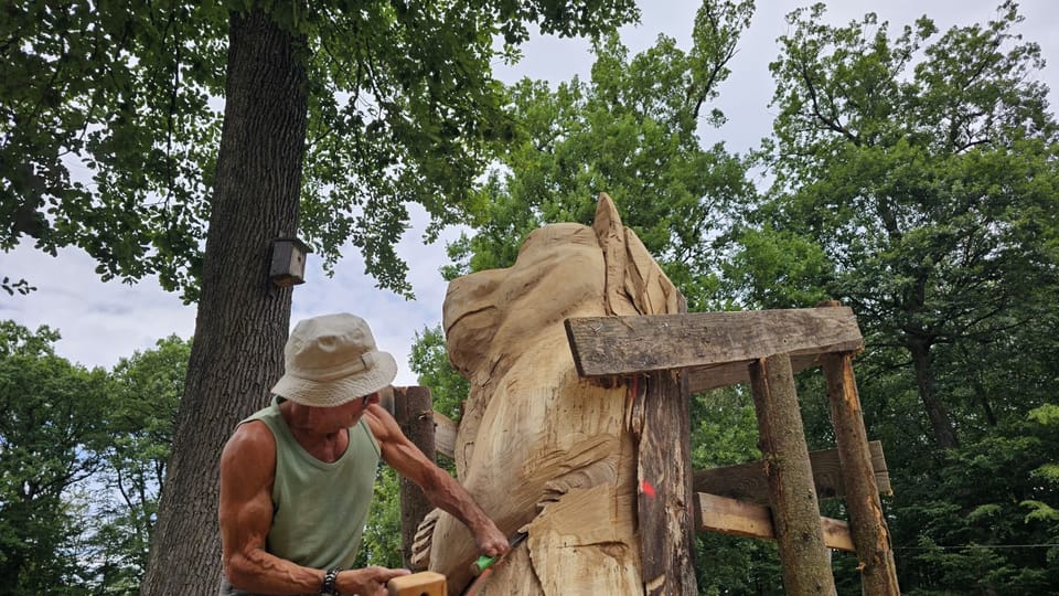 Illustration de « Un ours de 3 m de haut rejoint le musée à ciel ouvert du sculpteur Fernand Olona dans la forêt du Buchholz »