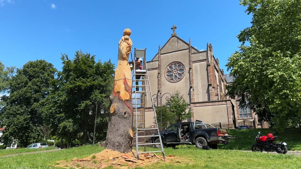 Image du reportage « Un cèdre transformé en sculpture à Sarreguemines »