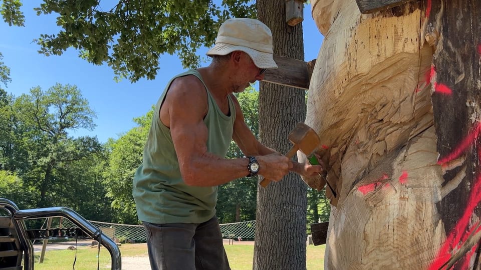 Image du reportage « Un ours sculpté dans les bois de Sarreguemines »
